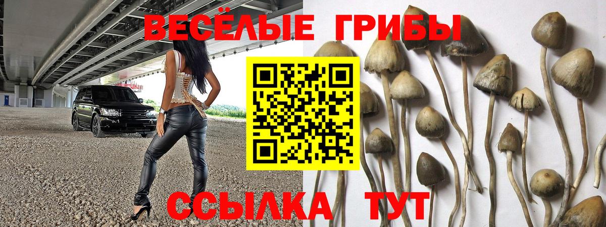 Псилоцибиновые грибы Psilocybine cubensis  Галлюциногенные грибы мухоморы  Казань  Вход с VPN 