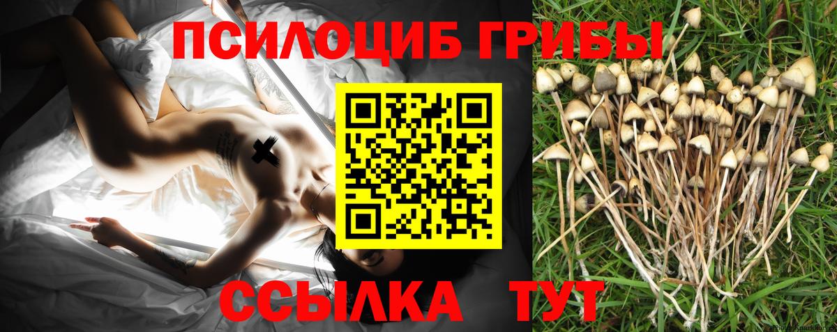 Галлюциногенные грибы Magic Shrooms Казань